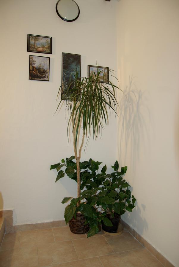 Hostel Humpolec Zewnętrze zdjęcie